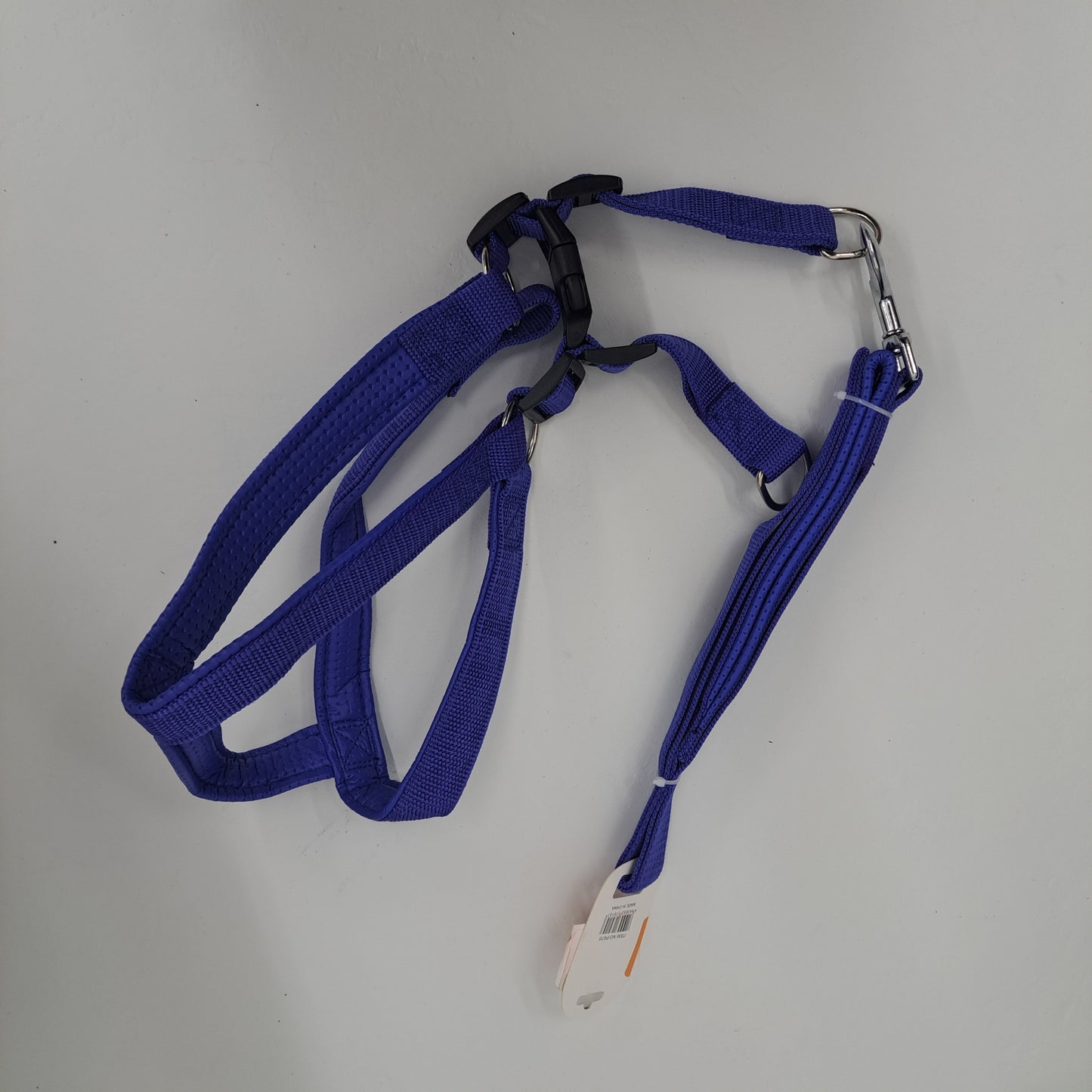 dog leash w collar 2.5*48"