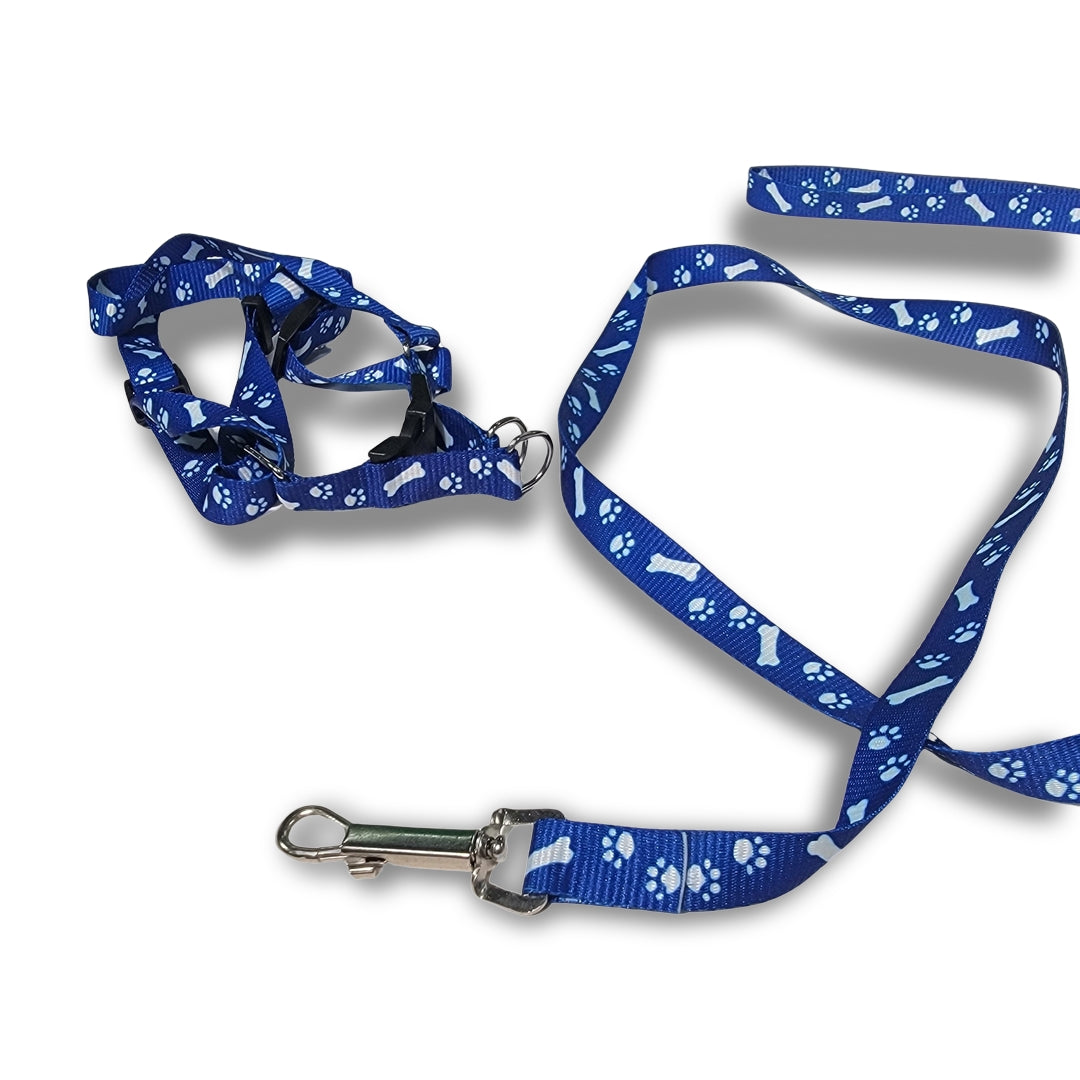 4ft dog Leash & Harness