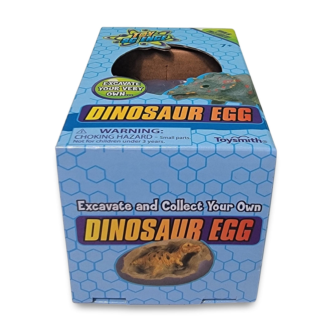 Excavate Dinosaur egg